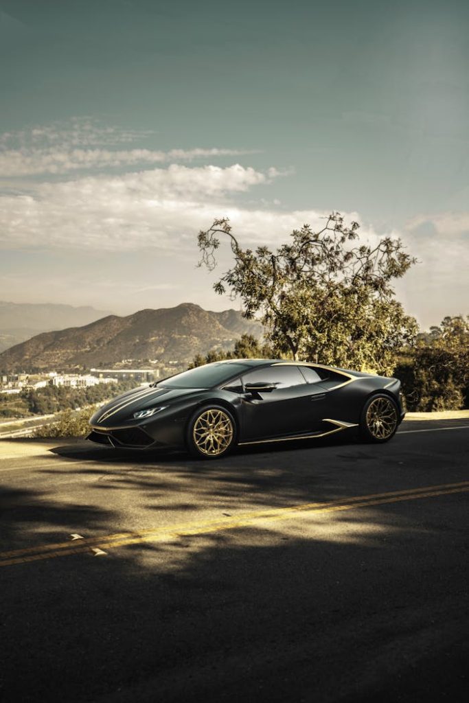 A sleek luxury sports car parked on a scenic road in Los Angeles, California.