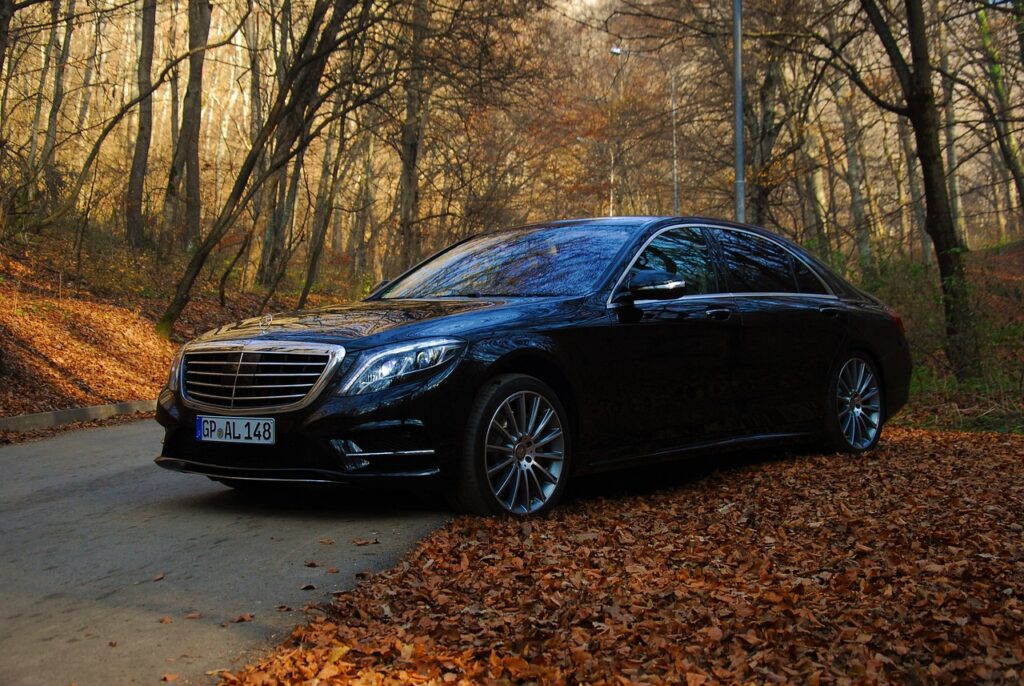 auto, autumn, benz, luxury car, mercedes, s class, transport, vehicle, brown car, mercedes, mercedes, mercedes, mercedes, mercedes